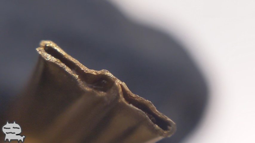 切断面の様子、中は空洞だった。
