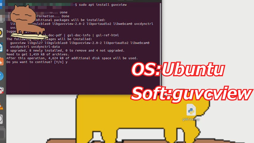 ubuntuã§ã¿ãŒããã«ãéããŠguvcviewãã€ã³ã¹ããŒã«ãã解説ç»é¢